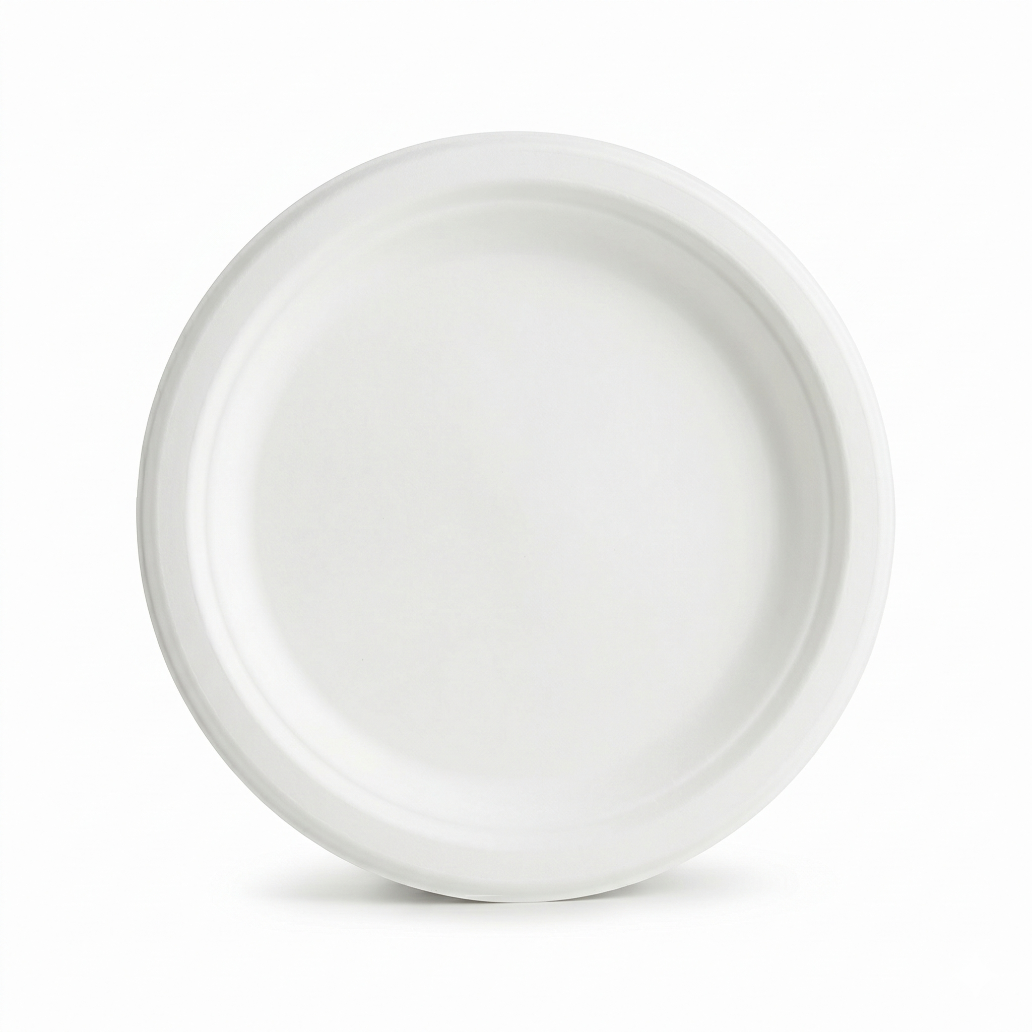 Plates | 9 inch | 500 pcs